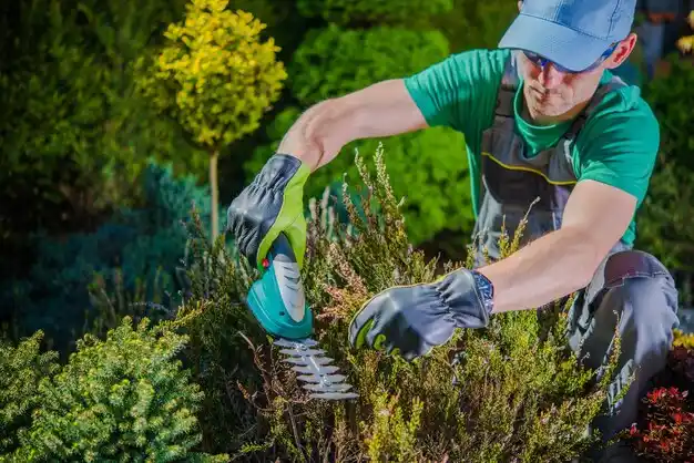 landscaping services Mermentau